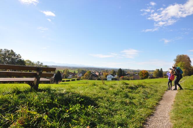 Wanderer am Panoramaweg mit Fernglas