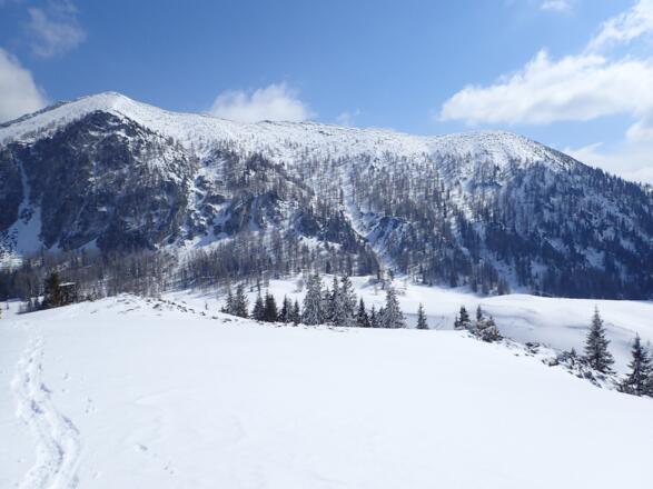 Braunedlkogel und Moosbergriedel