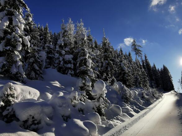 Winter_2021_5