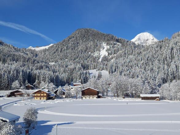 Winter_2021_2