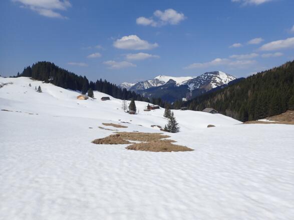 Die Hütten der Moosbergalm