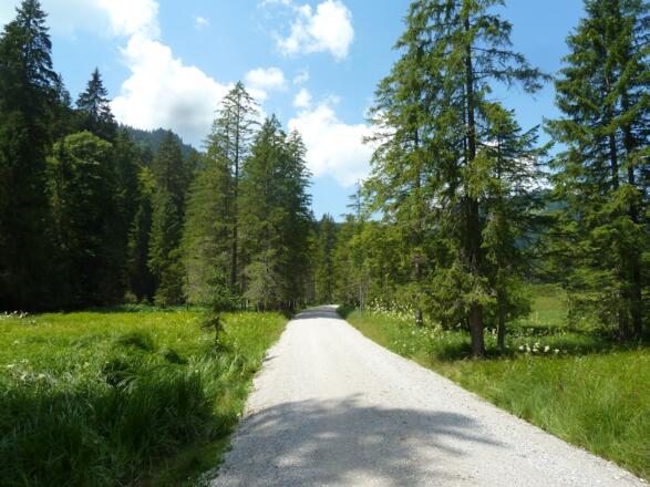 Weg zur Schwarzentenn