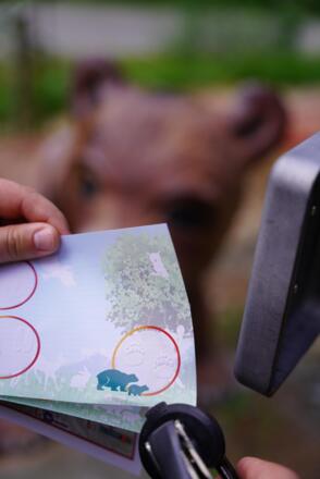 Tierspuren als Stempel sammeln