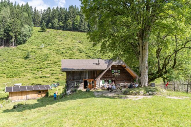 Die Steiner Alm