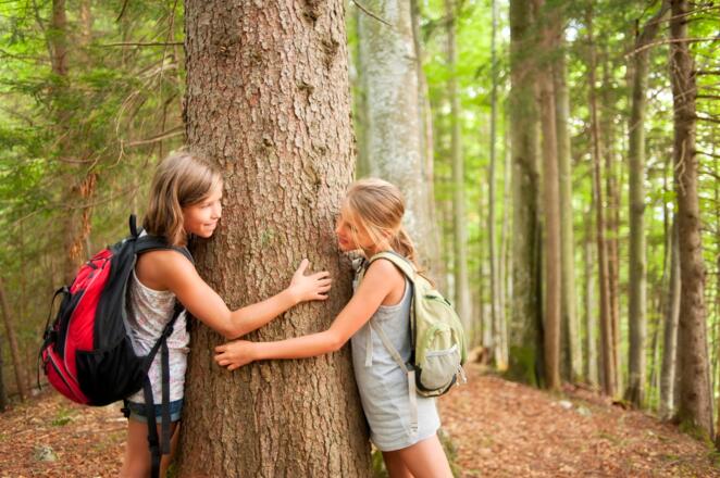 Spürnasen am Tegernsee