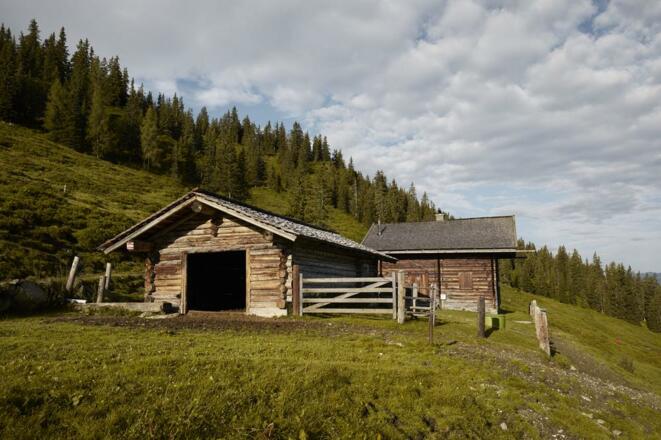 Pölsneralm