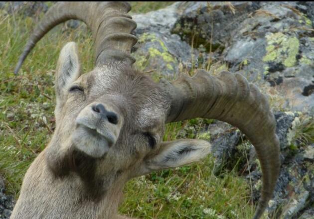 EC1BC0DA-5414-46EC-972C-6E315C1B9D54