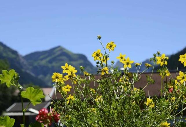Ausblick