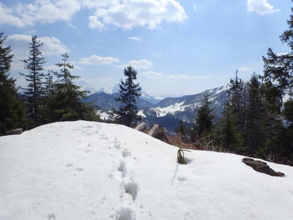 Ausblick nach Süden