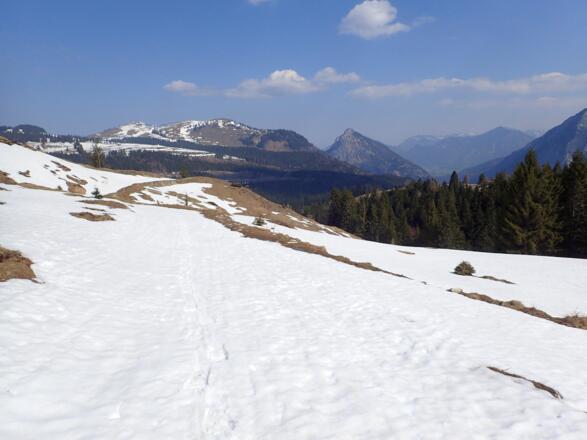 Am Sommerweg Richtung Braunedlkogel