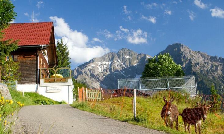 Schwabenhütte Sommer I