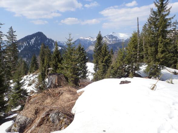 Blick vom Lienbachköpfl nach Westen