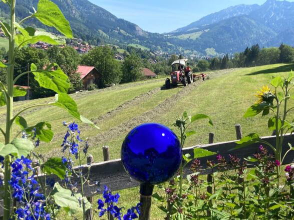 Heuernte vor dem Haus