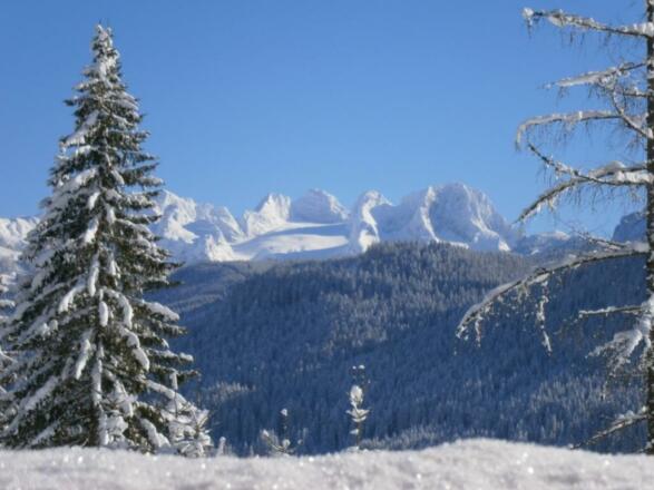 Winter in Abtenau