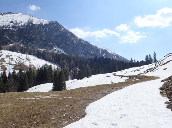 Langsam wirds Frühling
