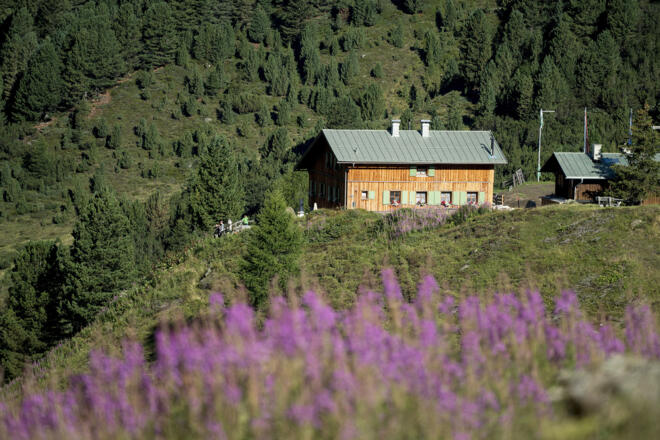 Blumenvielfalt an der Schweinfurter Hütte