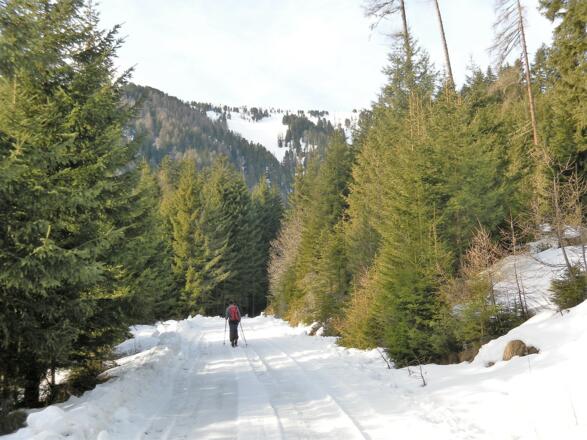Güterweg ins Steinbachtal