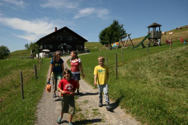 Rückweg nach zaumberg