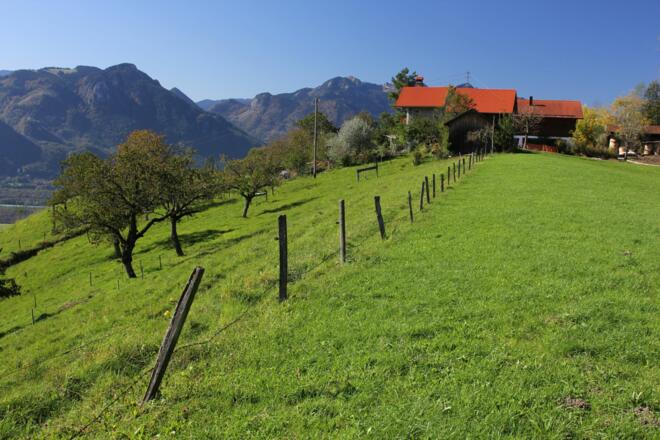 Die Häuser von Sattelberg