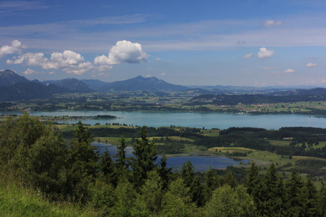 Blick auf Bannwald- und Forggensee