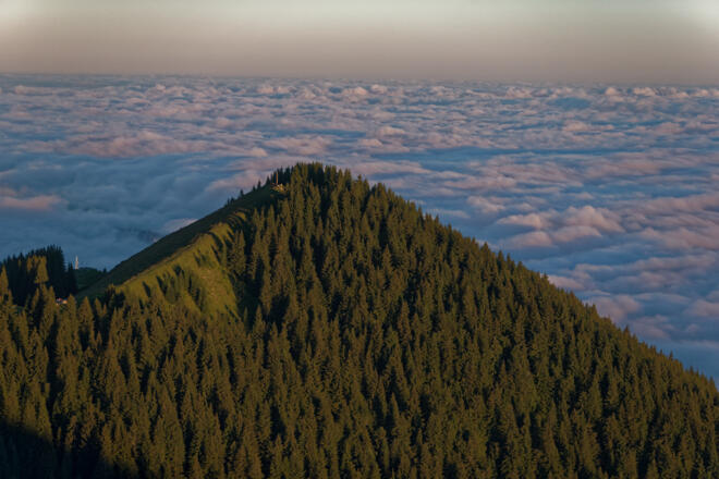 Blick vom Hinteren zum Vorderen Hörnle