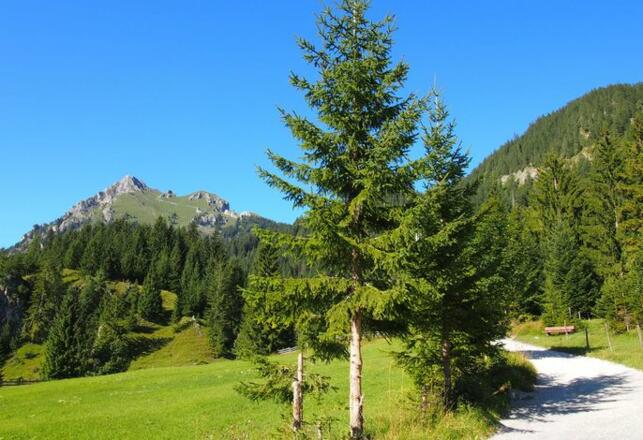 Haus Bergwelt Ferienwohnungen im Tannheimertal Vilsalpsee