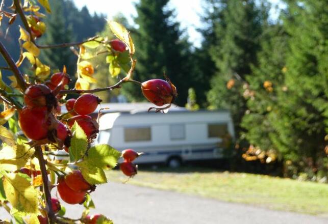 Herbststimmung