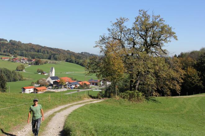 Anstieg von Roßholzen