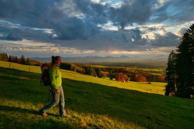 Rückweg im Abendlicht