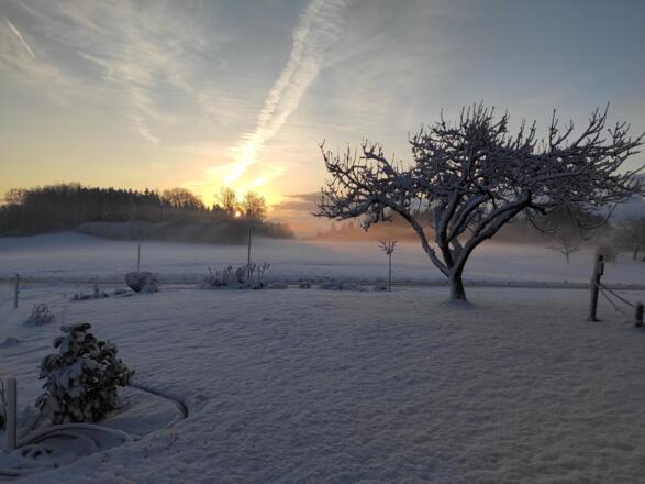 Winterspass beim Rodeln