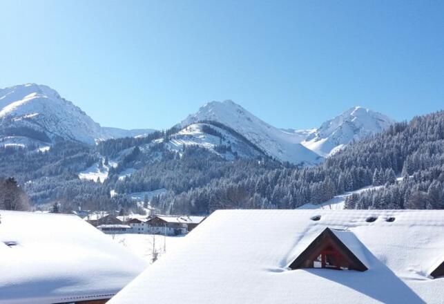 Ausblick im Winter