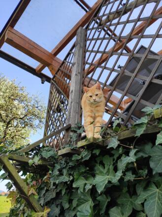 relaxen im Schatten oder in der Sonne