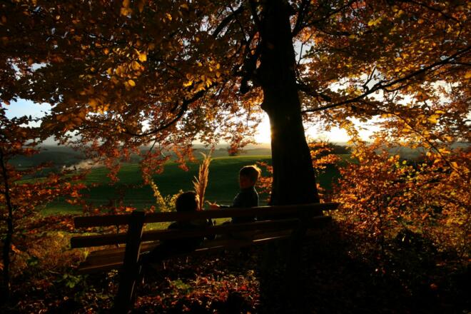 Herbstliche Wanderbank