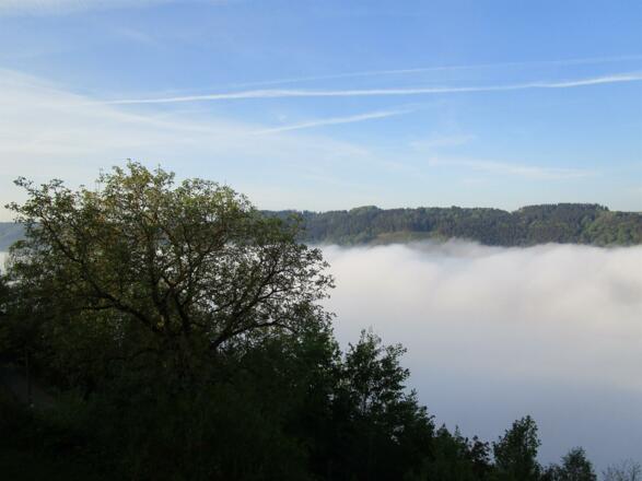 Nebelmeer über der Donau