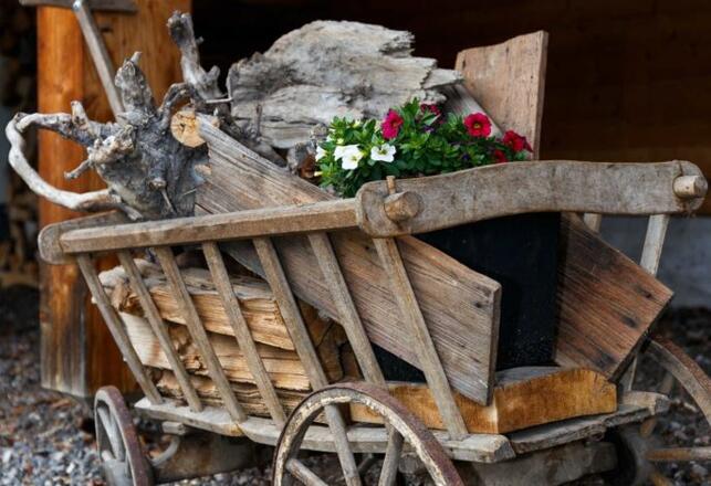 Kleine Wichtel ganz Gross