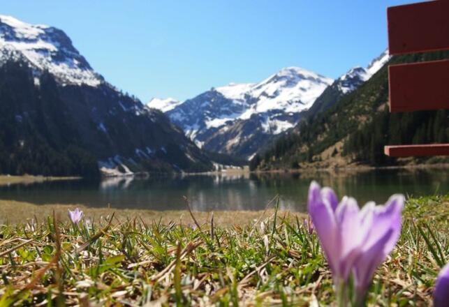 Haus Bergwelt Ferienwohnungen im Tannheimertal Vilsalpsee