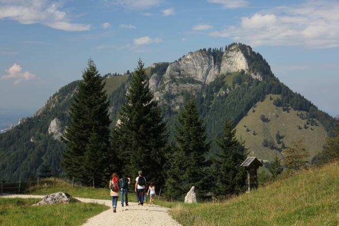 Abstieg über Almstraße
