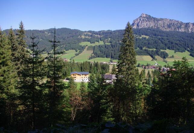 Landhaus Wiesle