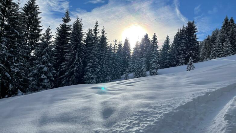 5f1ac159-3032-4375-8edc-19a0237b8b72