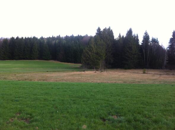 Ausblick auf das Filzgebiet