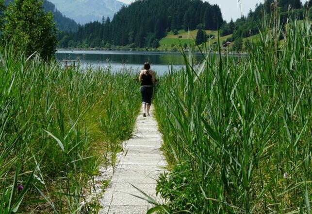Am See