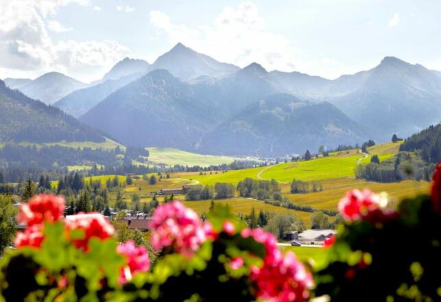 Hotel Bergblick *****