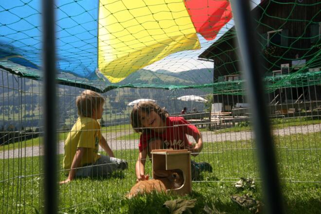 Hasen auf der Siedelalpe