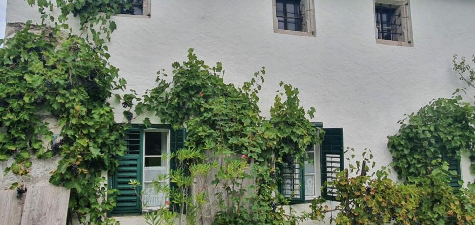 Ferienhaus Rosenschlössl