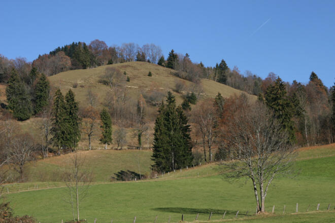 Der gesamte Anstieg vom Start aus gesehen.