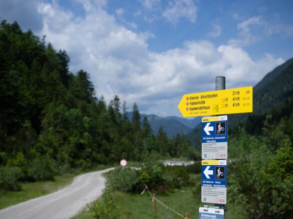 Der Weg beginnt auf einem moderat ansteigenden Forstweg