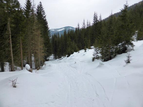 Aufstieg im Graben