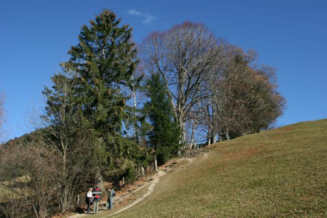 Im oberen Teil des Aufstiegs