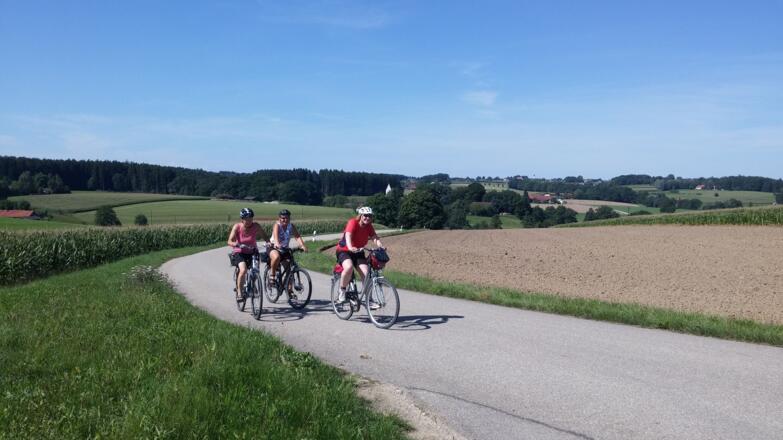 Radfahrer auf dem Maitenbether Kleeblatt