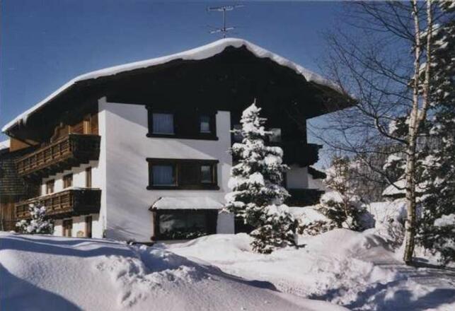 Haus Baumgartner im Winter